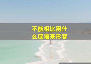 不能相比用什么成语来形容