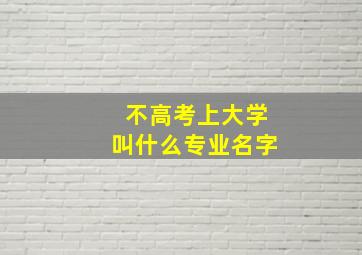 不高考上大学叫什么专业名字