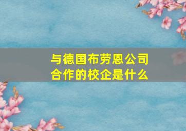 与德国布劳恩公司合作的校企是什么