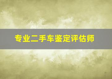 专业二手车鉴定评估师