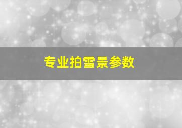 专业拍雪景参数