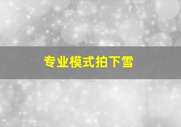 专业模式拍下雪