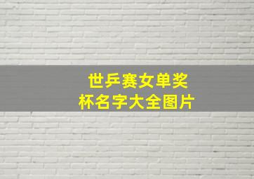 世乒赛女单奖杯名字大全图片