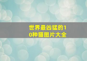 世界最凶猛的10种猫图片大全