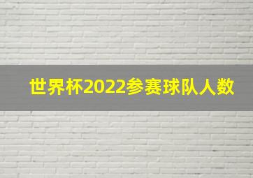 世界杯2022参赛球队人数