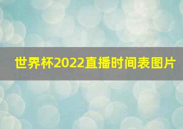 世界杯2022直播时间表图片