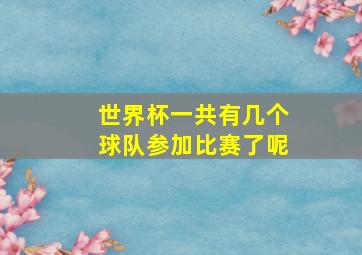 世界杯一共有几个球队参加比赛了呢