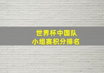 世界杯中国队小组赛积分排名