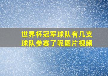 世界杯冠军球队有几支球队参赛了呢图片视频