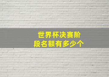 世界杯决赛阶段名额有多少个