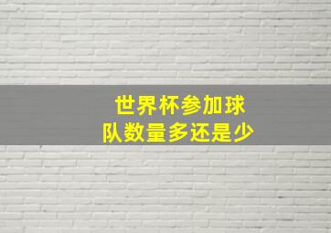 世界杯参加球队数量多还是少