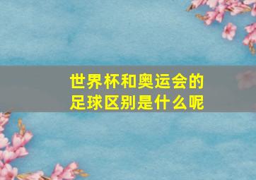 世界杯和奥运会的足球区别是什么呢