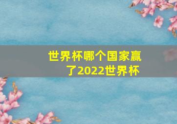 世界杯哪个国家赢了2022世界杯