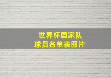 世界杯国家队球员名单表图片