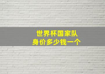 世界杯国家队身价多少钱一个