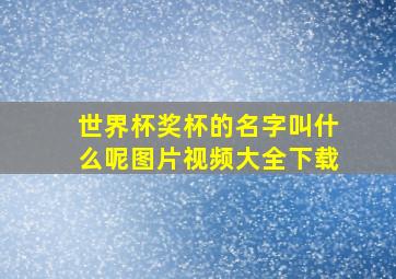 世界杯奖杯的名字叫什么呢图片视频大全下载