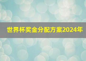 世界杯奖金分配方案2024年