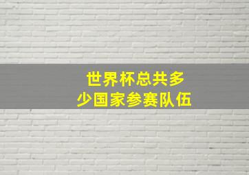 世界杯总共多少国家参赛队伍