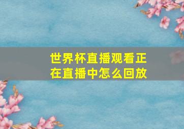 世界杯直播观看正在直播中怎么回放