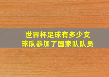 世界杯足球有多少支球队参加了国家队队员