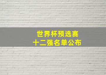 世界杯预选赛十二强名单公布