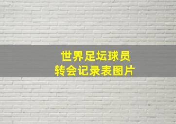 世界足坛球员转会记录表图片