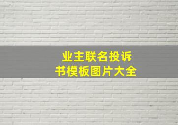 业主联名投诉书模板图片大全