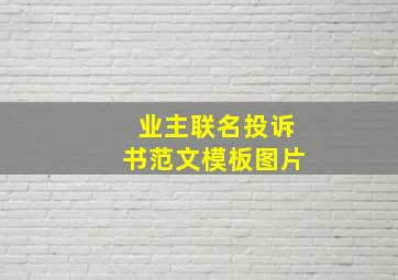 业主联名投诉书范文模板图片