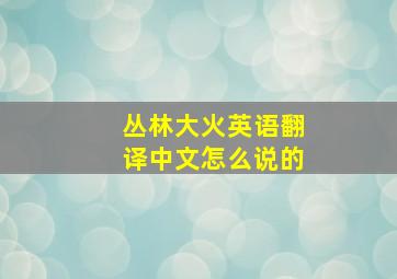 丛林大火英语翻译中文怎么说的