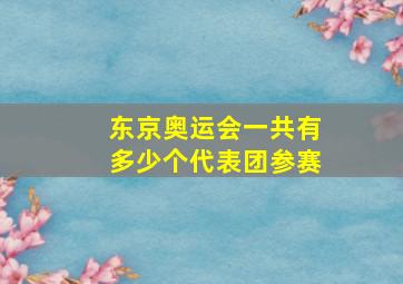 东京奥运会一共有多少个代表团参赛