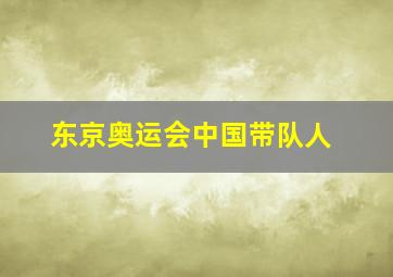 东京奥运会中国带队人