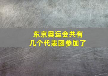 东京奥运会共有几个代表团参加了