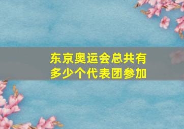 东京奥运会总共有多少个代表团参加