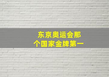 东京奥运会那个国家金牌第一