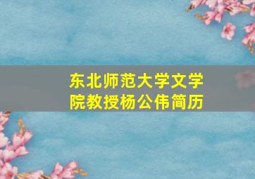 东北师范大学文学院教授杨公伟简历