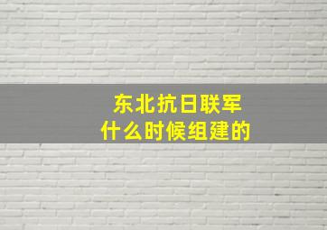 东北抗日联军什么时候组建的