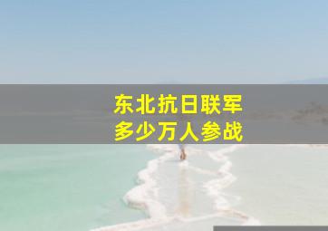 东北抗日联军多少万人参战