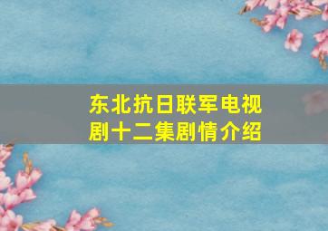 东北抗日联军电视剧十二集剧情介绍