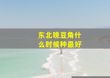 东北晚豆角什么时候种最好