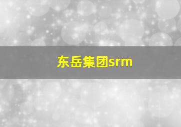 东岳集团srm