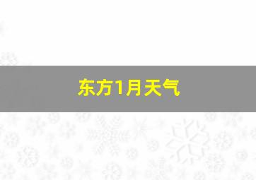 东方1月天气