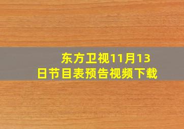 东方卫视11月13日节目表预告视频下载