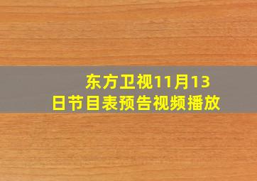 东方卫视11月13日节目表预告视频播放