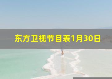 东方卫视节目表1月30日