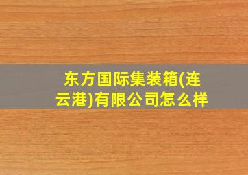 东方国际集装箱(连云港)有限公司怎么样