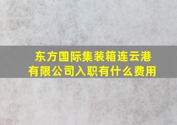 东方国际集装箱连云港有限公司入职有什么费用