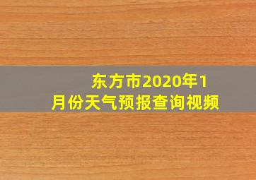 东方市2020年1月份天气预报查询视频