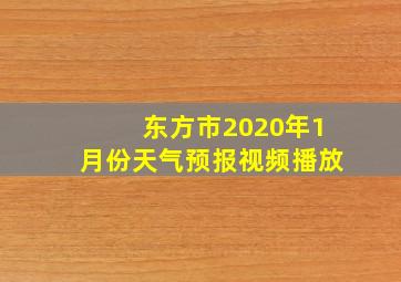 东方市2020年1月份天气预报视频播放