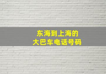 东海到上海的大巴车电话号码