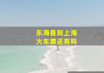 东海县到上海火车票还有吗